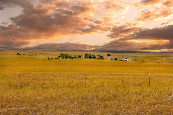表达依依不舍的句子71句