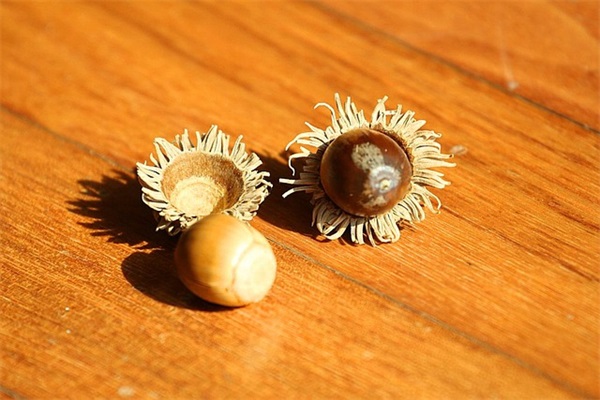 最新早上好正能量的句子 早上好温馨短句