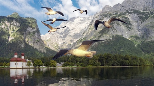 鼓励自己坚强的句子 好句摘抄