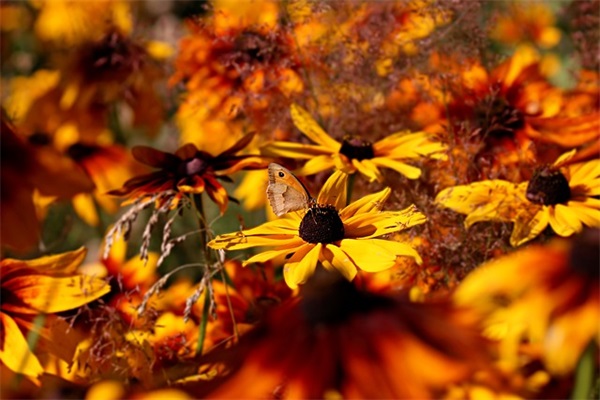 让人心疼到哭的句子100句