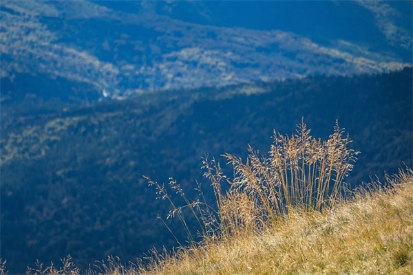一生只爱人的爱情暖心句子