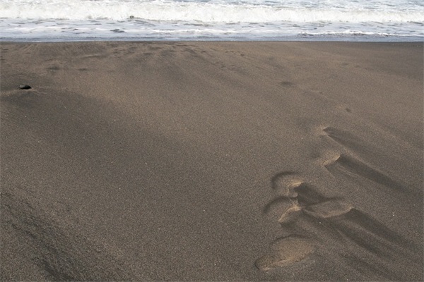 爱情优美句子摘抄87句