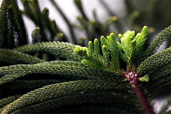 一发就会被秒赞的句子 高级有质感的句子