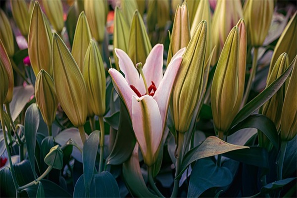 坚持耐心励志句子