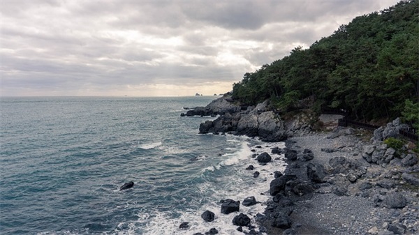 比较伤感的男女一对的名字(优选183个)