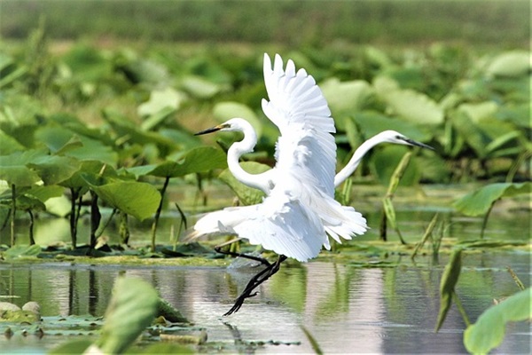 问道游戏名字【89句精选】