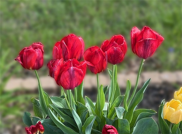 男生的网名高冷范