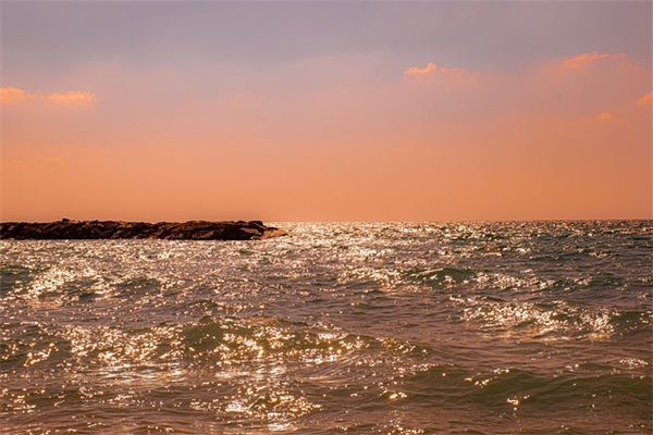 世界上最特别的英文名字 [51个]