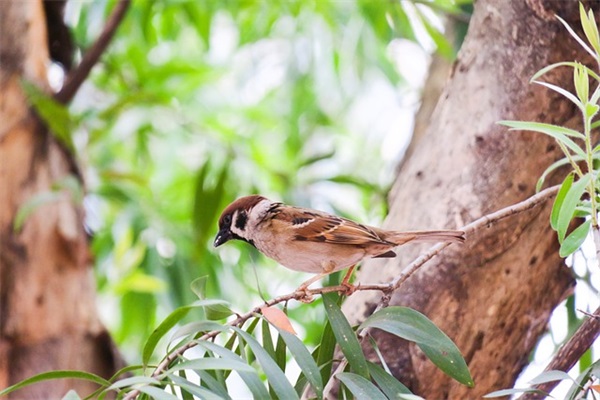 情侣网名可爱萌要短