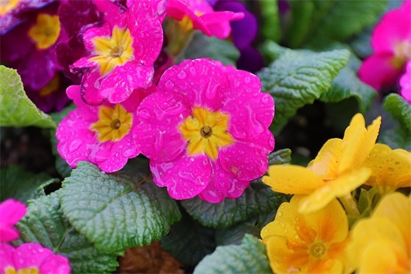 王者名字好听搞笑的id(精选122个)