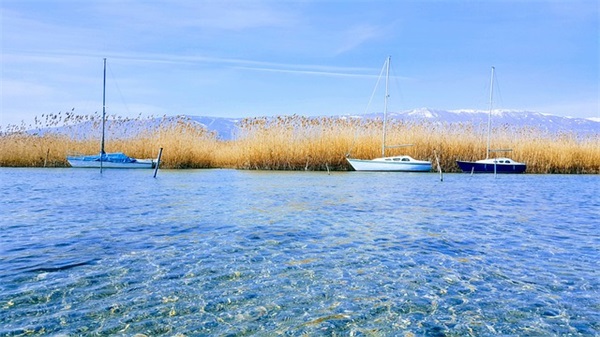 命运坎坷多磨难的句子(大全68句)