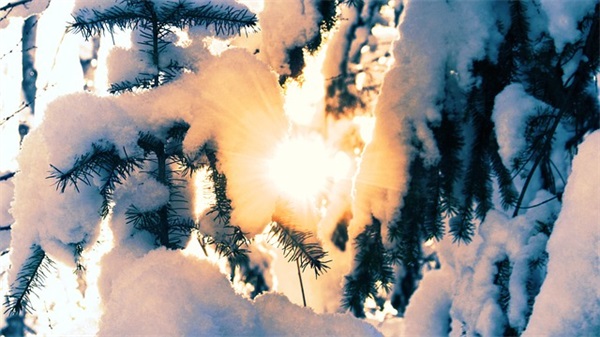 歌颂祖国的简短精辟句子精选28条