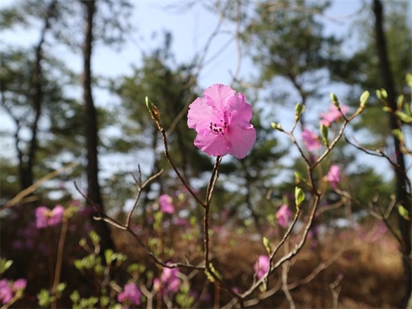 人生艰难的句子(分享35句)