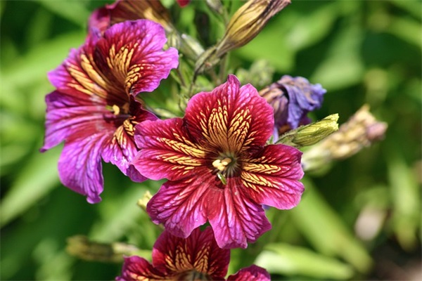 写给妈妈一段暖心的话180句