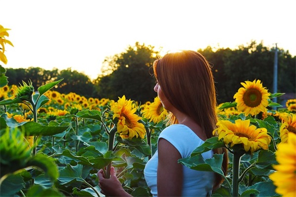 时间像把刀的句子精选246句