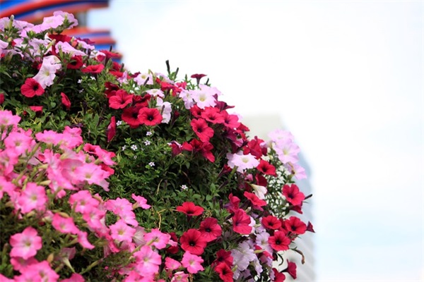 关于分享照片的句子精选259句