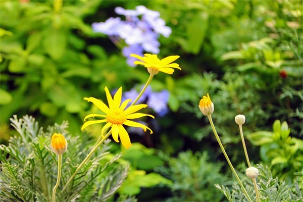 写给妈妈的话唯美简短150句