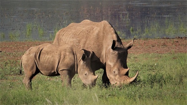 超暖心文艺情话适合表白 恋爱中情话句子大全