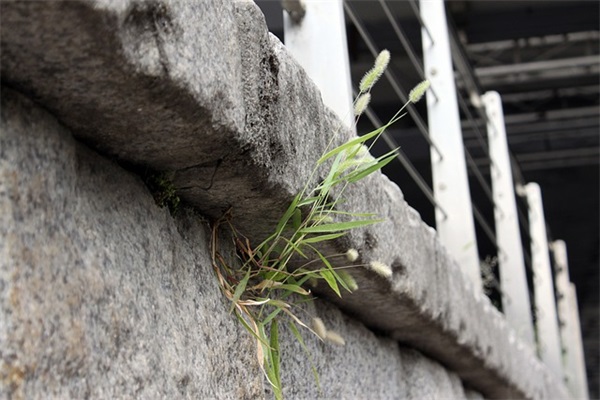 鼓励加油的句子59条