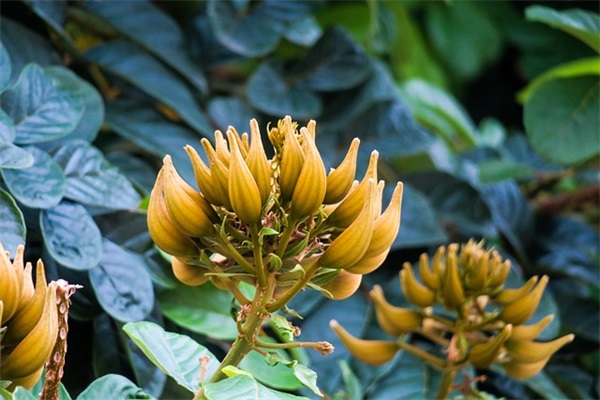 高情商回复顾客好评的风趣句子锦集(50条)