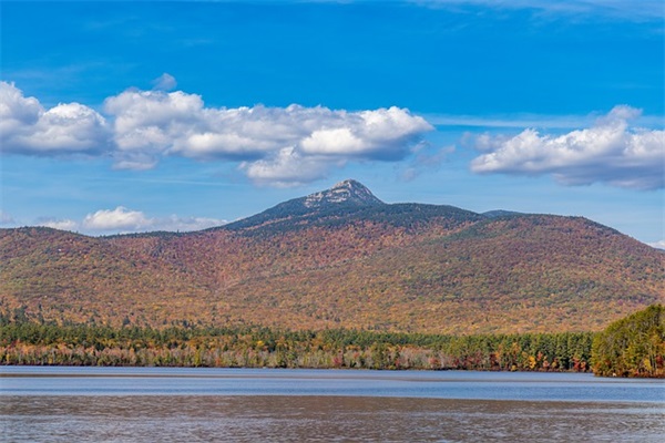 父母已老去的伤感句子精选56条