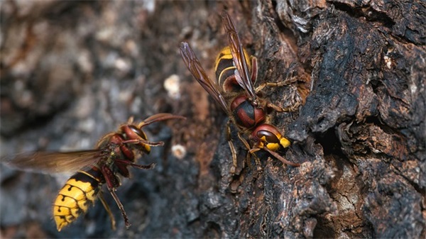 安慰闺蜜的句子35条