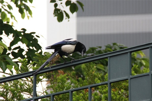 奋斗在路上的句子48句