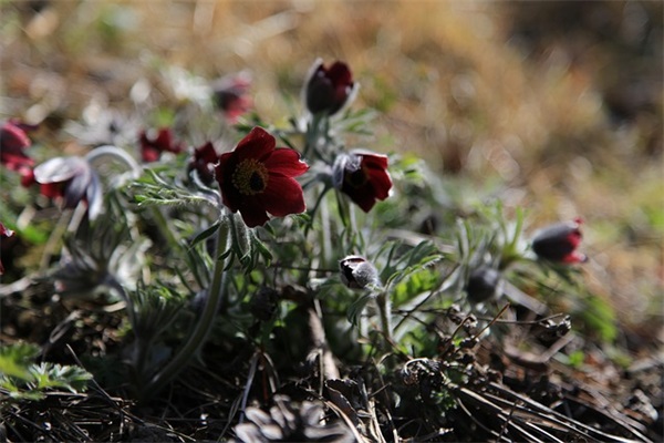 励志积极正能量的简短句子38句