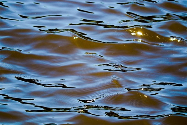 关于小姐姐的网名(共127个)