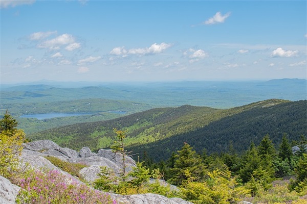 王者荣耀搞笑好听的名字