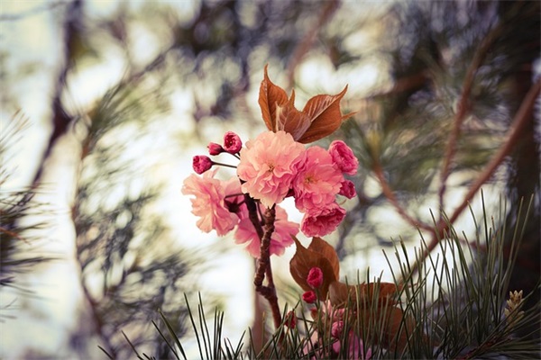 回到曾经qq网名(精选95个)