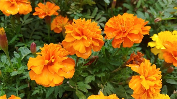 微信网名男30多岁