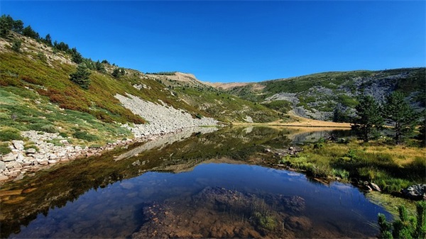 感谢父母的话感恩父母句子
