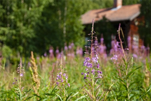 摘抄风景唯美句子精选40条