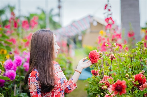 春节手抄报内容句子大全集合112句