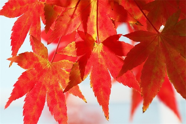 经典社会的语录短句快手汇集