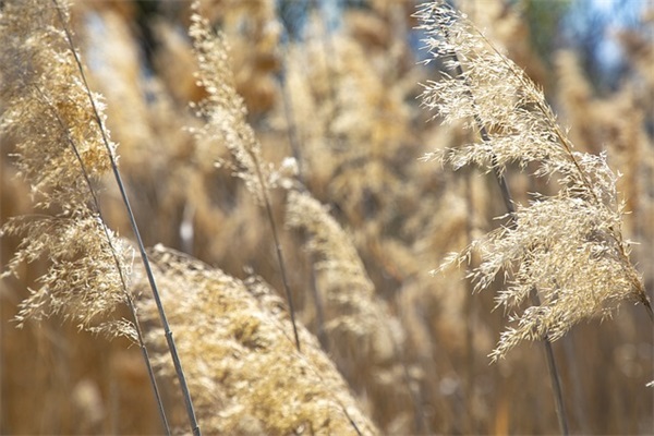 要钱的句子200句