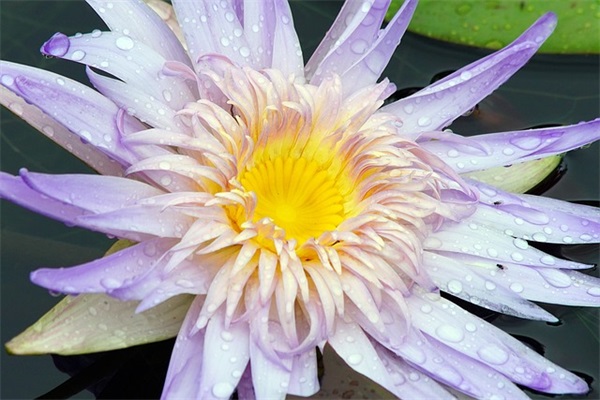 晒娃发朋友圈的好句子摘抄(36条)