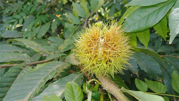 2026关于余生的情话句子合集