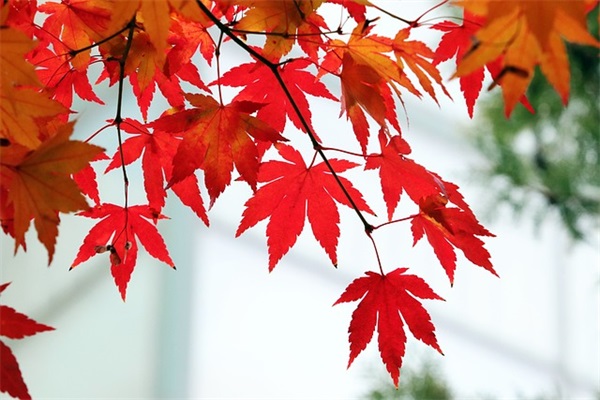 闺蜜生日快乐的句子暖心短句文案