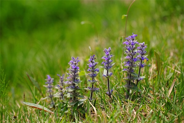 女人心态阳光的句子 阳光气质女人短句