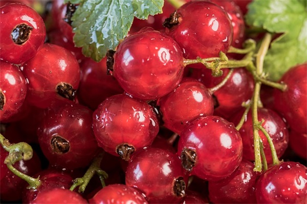 2025年简单的优美伤感句子摘录