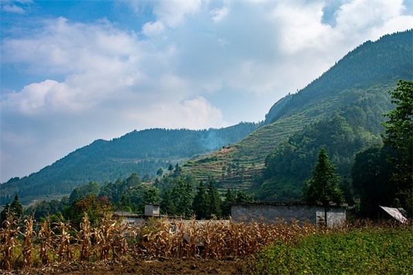 80后女人感悟人生的句子 80后的女人感慨句子