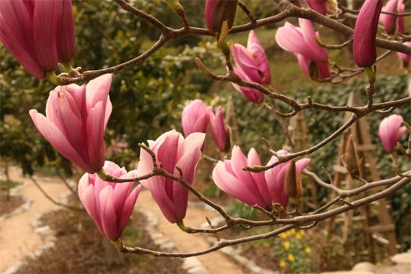 精选形容大雨的句子