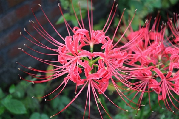 调侃自己胖的幽默句子