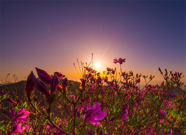 理科生专属浪漫表白句子