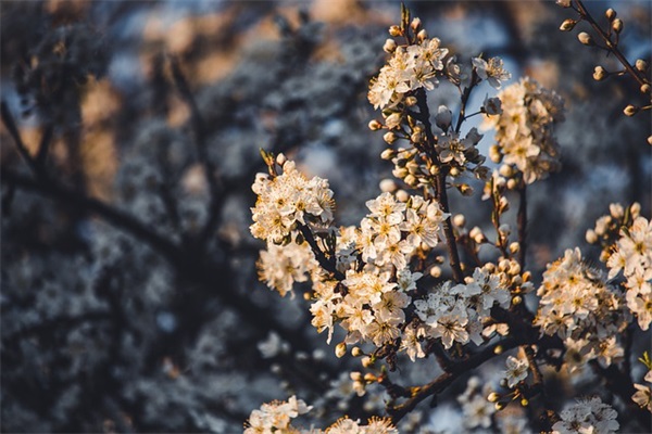 描写海洋馆的句子18句