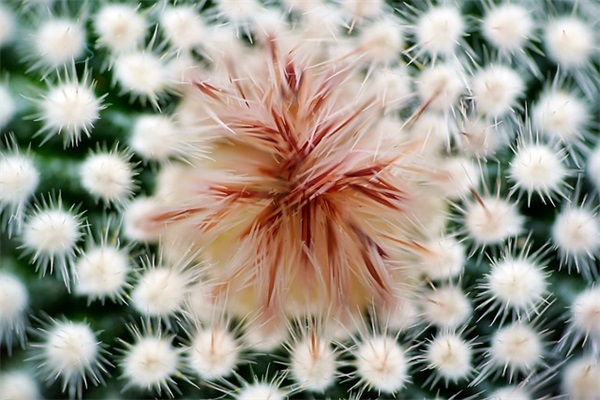 关于抗击疫情振奋人心的句子