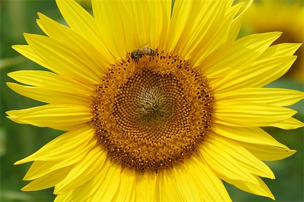 感悟人生哲理句子励志 精辟哲理励志短语句子