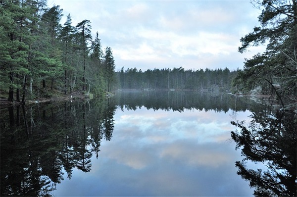 关于祝新年快乐的句子简短(祝男朋友新年快乐的句子)
